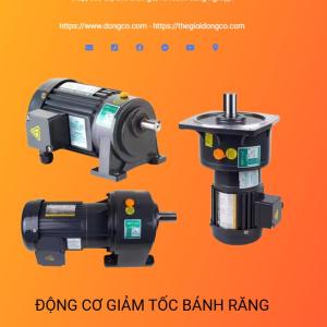 ZD Motor – Động cơ giảm tốc & hộp số chất lượng cao cho công nghiệp