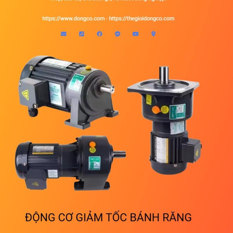 ZD Motor – Động cơ giảm tốc & hộp số chất lượng cao cho công nghiệp